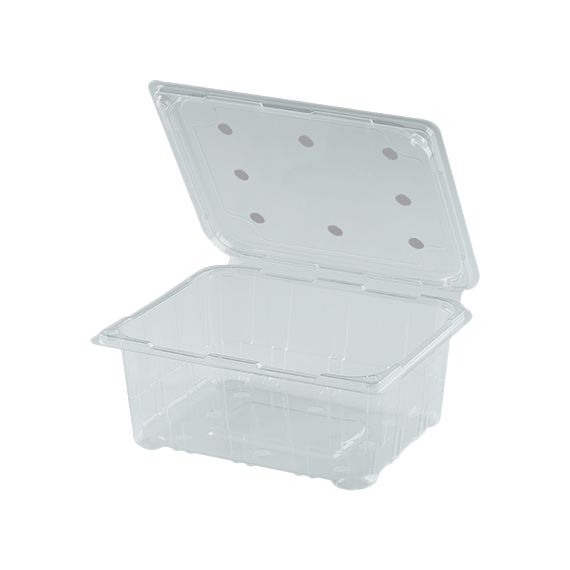 FRUIT BOX PET EPP 1000 WITH HOLE 25Pcs *12