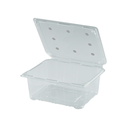 [412126] FRUIT BOX PET EPP 1000 WITH HOLE 25Pcs *12