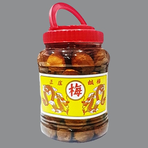 [411003] Red Plum Dragon A4